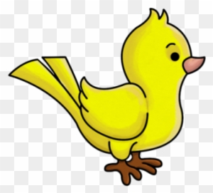 Yellow Bird - Cartoon Small Bird