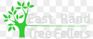 East Rand Tree Fellers - Tree And A Bird