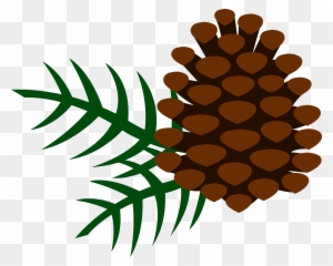 Needles Cliparts - Clip Art Pine Cone