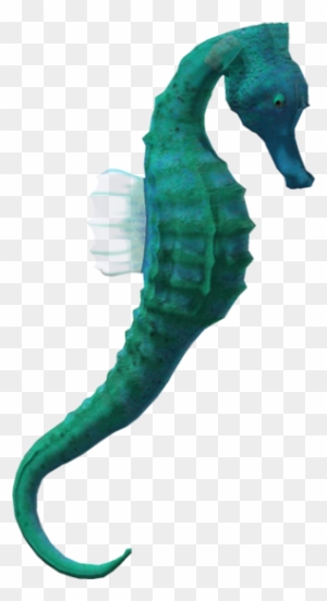 Realistic Clipart Seahorse - Animals Under Water Png