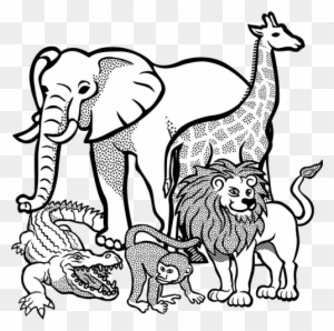 Outline Drawing Of African Animals Public Domain Vectors - Wild Animals Coloring Page