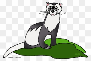 Ferret Clipart, Transparent PNG Clipart Images Free Download - ClipartMax