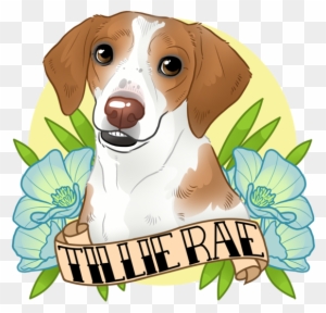 Dobby Doodles - Goldendoodle - Free Transparent PNG Clipart Images Download