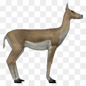Deer Free Png Transparent Background Images Free Download Animated Gif Gazelle Gif Free Transparent Png Clipart Images Download