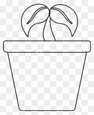 Drawn Pot Plant Transparent - Ecology