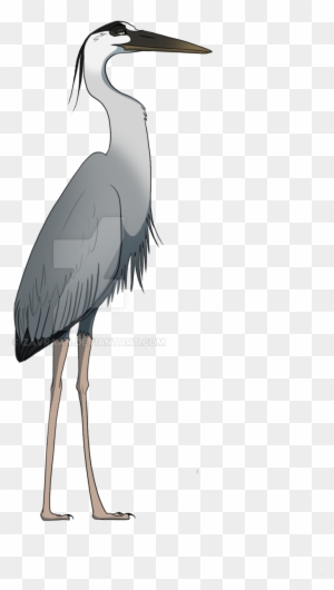 Great Blue Heron - Free Transparent PNG Clipart Images Download