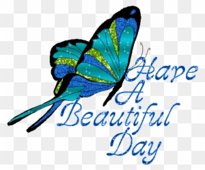 Butterfly Clipart - Have A Good Day Butterfly