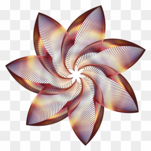 Flower Line Art 5 No Background - Portable Network Graphics