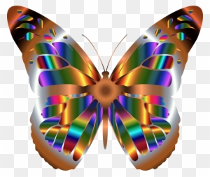 See Here Butterfly Clipart Black And White Outline - Real Rainbow Monarch Butterfly