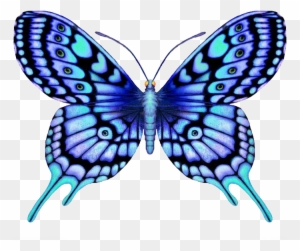 Butterfly Tattoo Large Blue Color - Butterfly Designs
