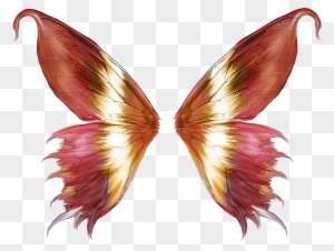 pink fairy wings roblox