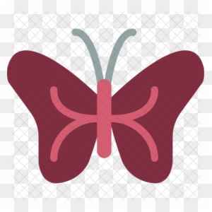 Butterfly Icon - Dragonfly