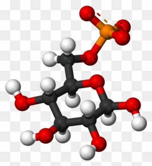 Beta D Glucose 6 Phosphate 3d Balls - Glucosamine 3d Structure