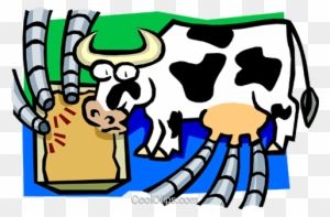 Funny Farmyard Cows Clip Art Images Are On A Transparent - Dairy Cows Being Milked