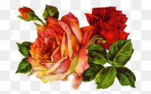 Декупаж Decoupage Roses On Pinterest - Red Roses Vintage Png