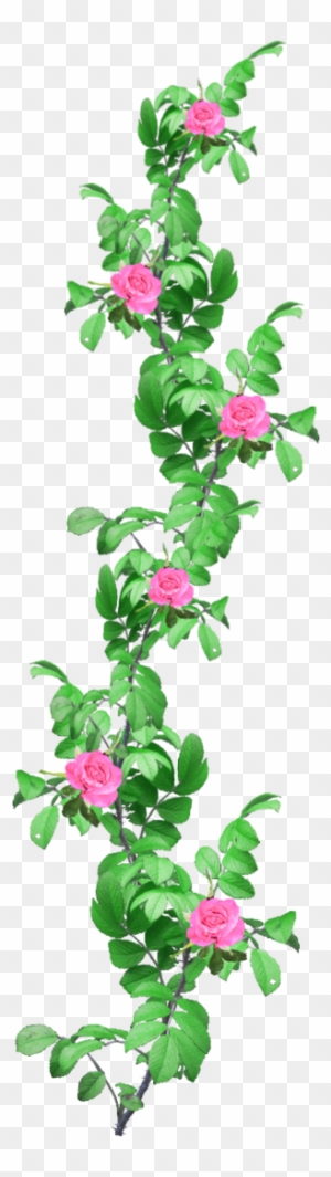 Pink Flower Vine Png Rose Garland 1 Png Stock By Amalus - Portable Network Graphics