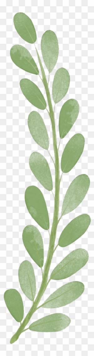 Download Png - Painted Leaf Png