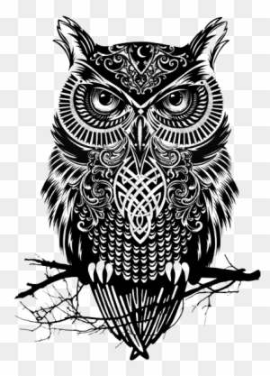 41 Images About Owls On We Heart It - Black And White Owl Drawing