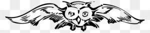 Front View Owl Black White Line Art 999px 43 - Owl Post Harry Potter