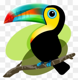 Iquitos Bird Baby Toucan Tucan Dibujo Png Free Transparent Png Clipart Images Download Iquitos Bird Baby Toucan Tucan Dibujo Png Free Transparent Png Clipart Images Download