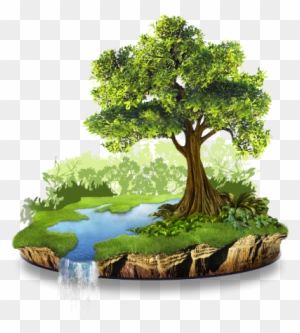 700 Free Ecosystem  Nature Images  Pixabay