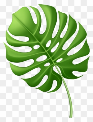 Large Tropical Leaf Png Clip Art Image - Vector Graphics