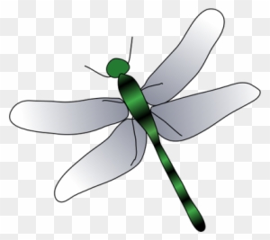 Dragonfly Drawings - Clipart Library - Dragonfly Drawing
