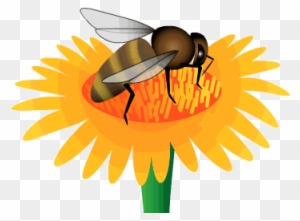 Animated Bees - Honey Bee Animated Gif