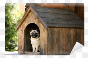 Best Wooden Dog Houses