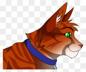 Jake Warriors - Jake The Warrior Cat - Free Transparent PNG Clipart