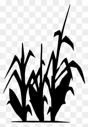 Corn Clipart Outline - Corn Stalk Silhouette