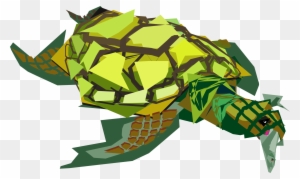 Sea Turtle 555px - Transparent Sea Turtle Clipart