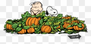 Charlie Brown Halloween Cliparts - Pumpkin Patch Charlie Brown