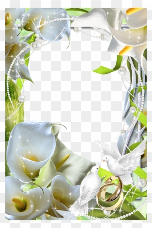 Beautiful Flower Frames - Flower Circle Frame Png - Free Transparent ...