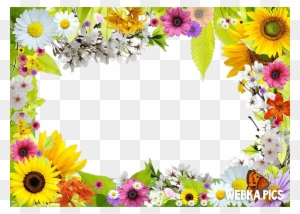 Flower Photo Frames Webka Photo Frames Online App For Flower Photo Frame Online Free Transparent Png Clipart Images Download