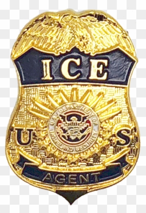 Department Of Homeland Security Immigration And Customs - Federal Protective Service Badge