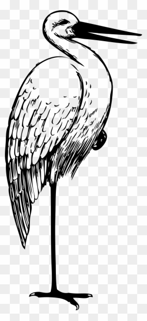 Big Image - Stork Clipart Black And White