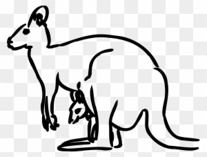 Australia, Kangaroo Baby Animal Mammal Jumping Austra - Kangaroo Outline