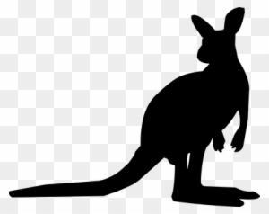 Kangaroo, Silhouette, Animal, Australia - Kangaroo Silhouette Png