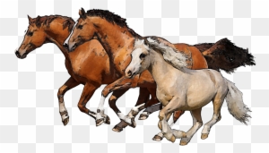 Download Png Image Report - Group Of Horses Clipart