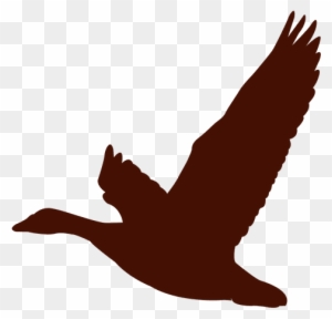 Canada Goose Duck Bird Flock - Geese Flying Clip Art - Free Transparent ...