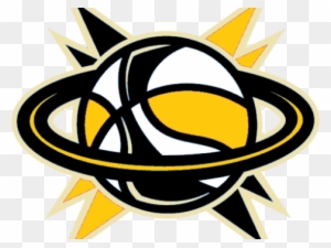 South Florida Gold Name Scott Dambrot Head Coach - South Florida Gold Basketball