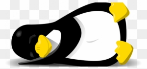 Powerful Chattr Command Usage In Linux - Tux Penguin