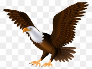 Golden Eagle Clipart Dead Eagle - Bald Eagle Clip Art