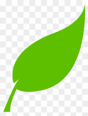 And Frame) Uses The Same Plastic - Tree Leaves Vector Png