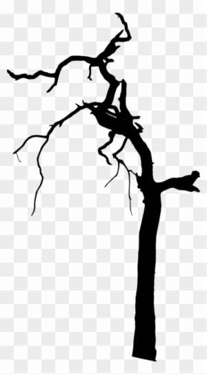 Free Png Dead Tree Silhouette Png Images Transparent - Portable Network Graphics