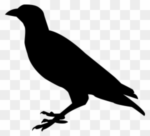 Free Photo Raven Raven Bird Crow Bird Sitting Black - Raven Silhouette Png