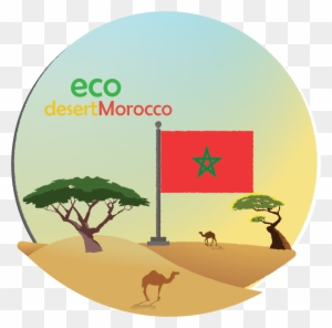 We Had Different Designs Concepts Until We Get To Final - Tourism Logos Desert