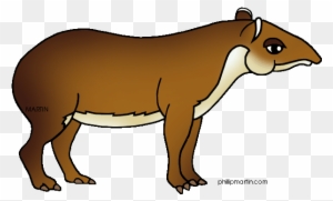 Mammal Clipart Rainforest Animal - Amazon Rainforest Animals Clipart