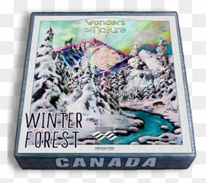Winter Forest Sounds Christmas Day Recordings Of Nature - Collectible Card Game
